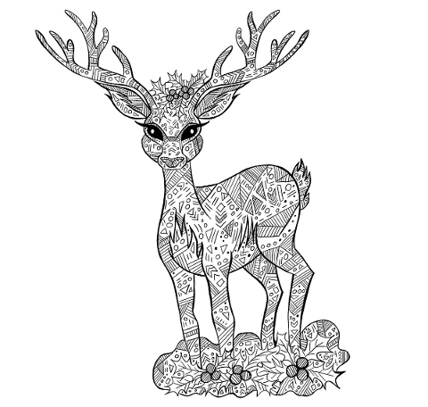 deer-coloring-christmas-animal-4673984