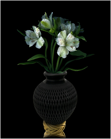 flowers-vase-decoration-nature-5054099