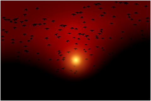 birds-abendstimmung-sun-sunset-5758630