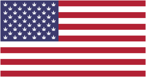 american-flag-flag-marijuana-5734426
