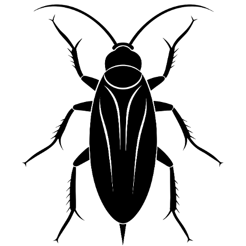 ai-generated-cockroach-silhouette-8702026