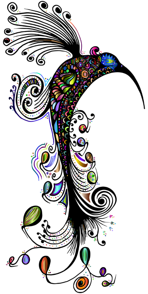 bird-zentangle-animal-doodle-7923606