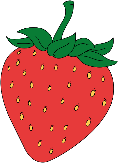 strawberry-red-fruit-fresh-rope-6291879