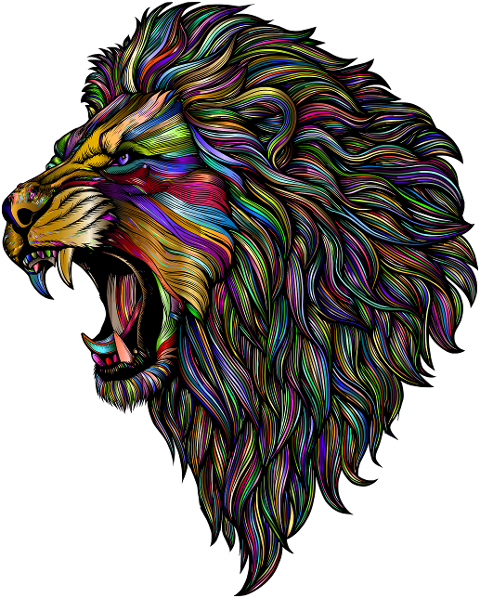 lion-animal-feline-big-cat-mammal-9514221