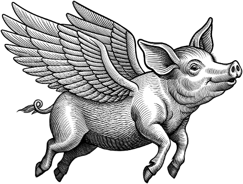 pig-when-pigs-fly-idiom-9522365