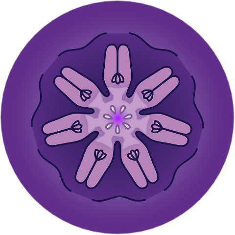 steiner-planetary-seals-9507274