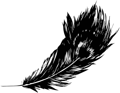 feather-bird-wing-design-ornaments-7951617