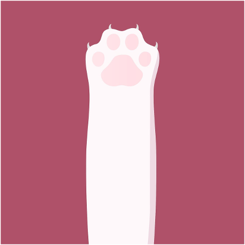 paw-cat-paw-pink-pads-white-fur-10407395
