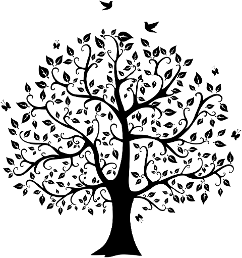 tree-tree-of-life-frame-spiritual-5334773