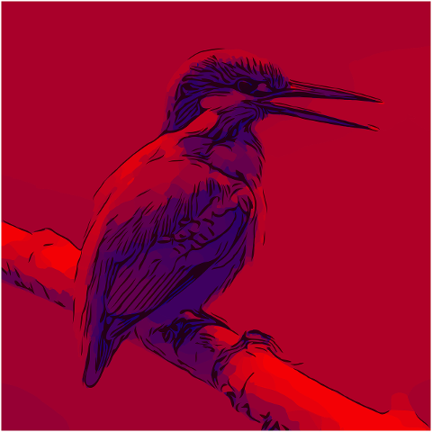 kingfisher-bird-avian-red-abstract-6975734