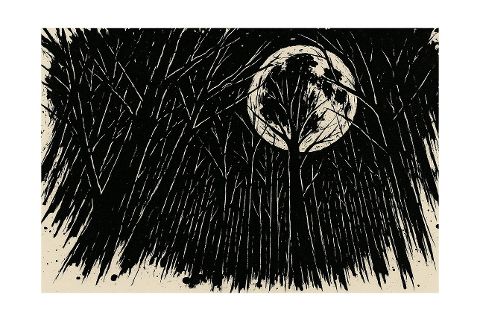 moonlit-forest-dark-woods-9955560