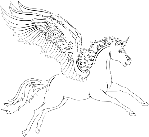 pegasus-unicorn-horse-line-art-7872334