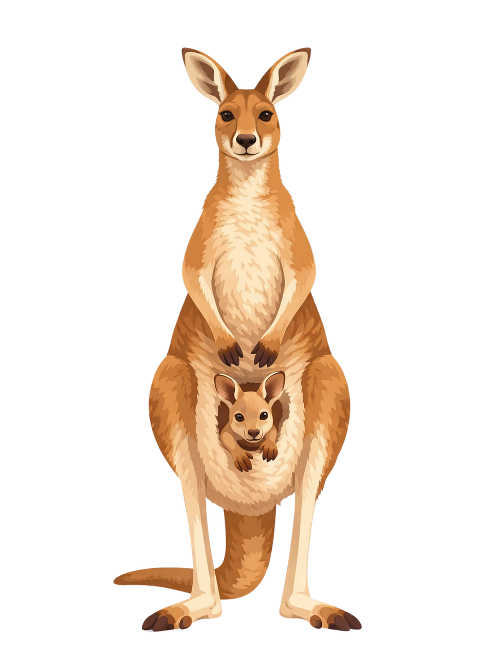 kangaroo-baby-kangaroo-10100995