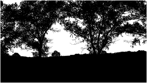 trees-forest-silhouette-landscape-7626009