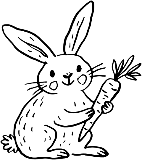rabbit-line-art-clipart-carrot-10394469
