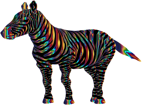 zebra-animal-colorful-wildlife-6539393