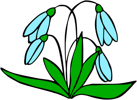 flowers-snowdrops-bud-plant-spring-6138696