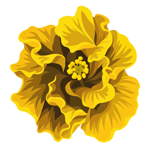 yellow-hibiscus-hibiscus-flower-10490762
