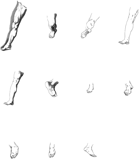 feet-legs-foot-line-art-7272792