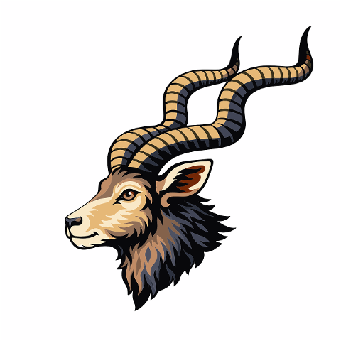 antelope-horns-wildlife-animal-10228397