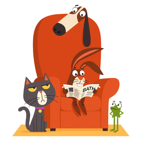 rabbit-cat-dog-frog-animals-9987238