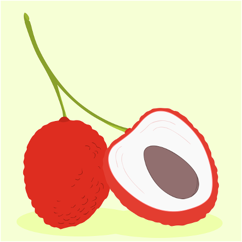 lychees-fruits-clip-art-cartoon-7150363