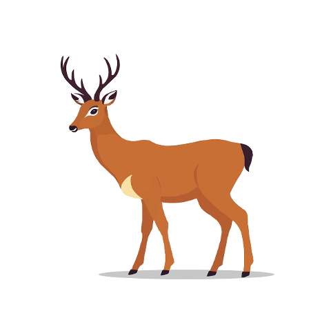doe-deer-mammal-animal-antlers-8106479