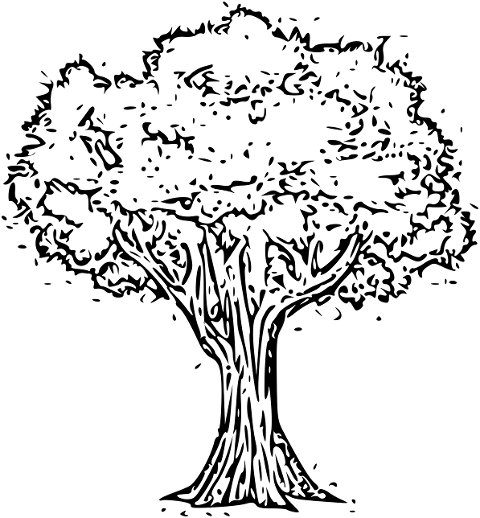 tree-big-tree-drawing-line-art-6857415