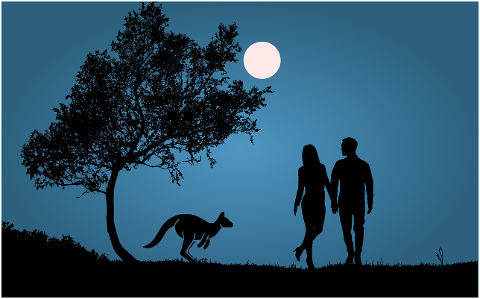 night-full-moon-kangaroo-couple-6072636