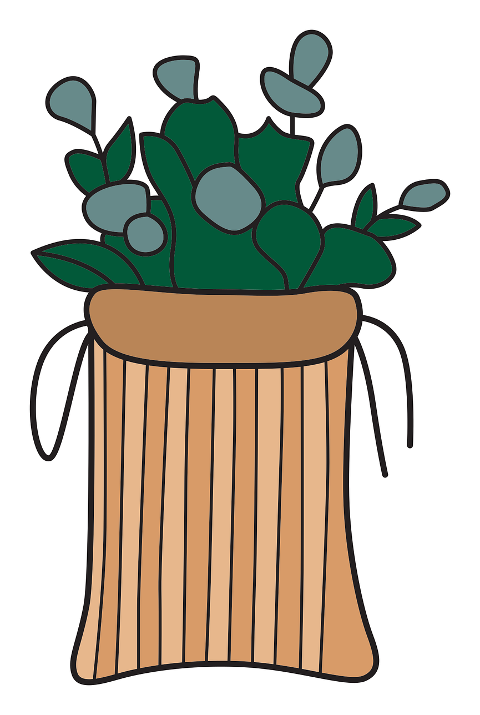 eucalyptus-bouquet-plant-greenery-9471081