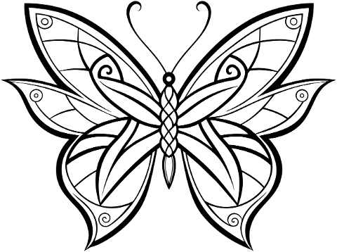 ai-generated-butterfly-insect-8716068